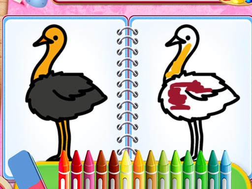 Coloring Birds