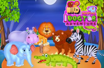 Wild Animal Doctor Adventure