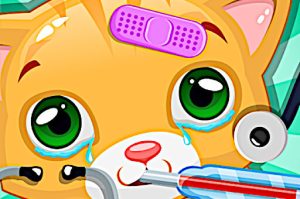 Play Doctor Pets Online